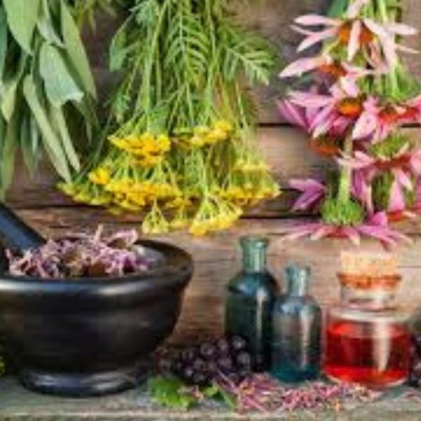 Secrets of the Home Apothecary: 9 Rare and Unconventional Treatments for Everyday Injuries