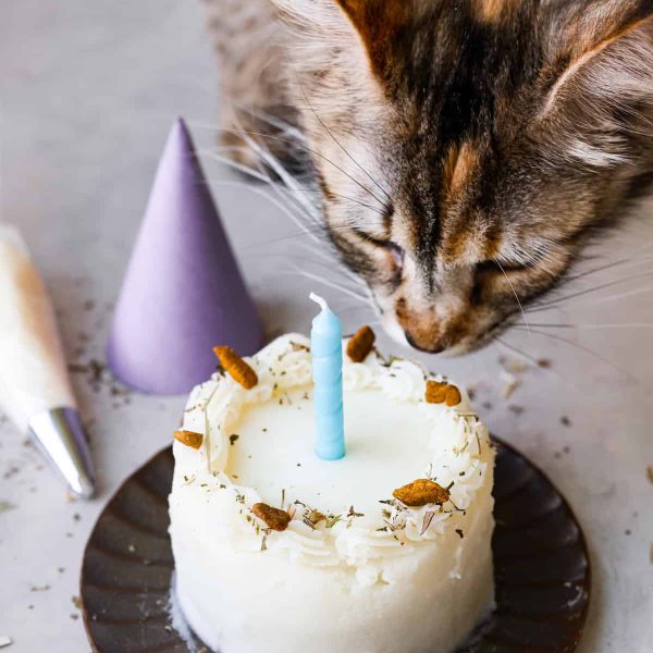 Cat Birthday Cake Recipe | The Recipe Critic