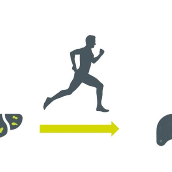 NAFLD and Physical Exercise: Take Charge!