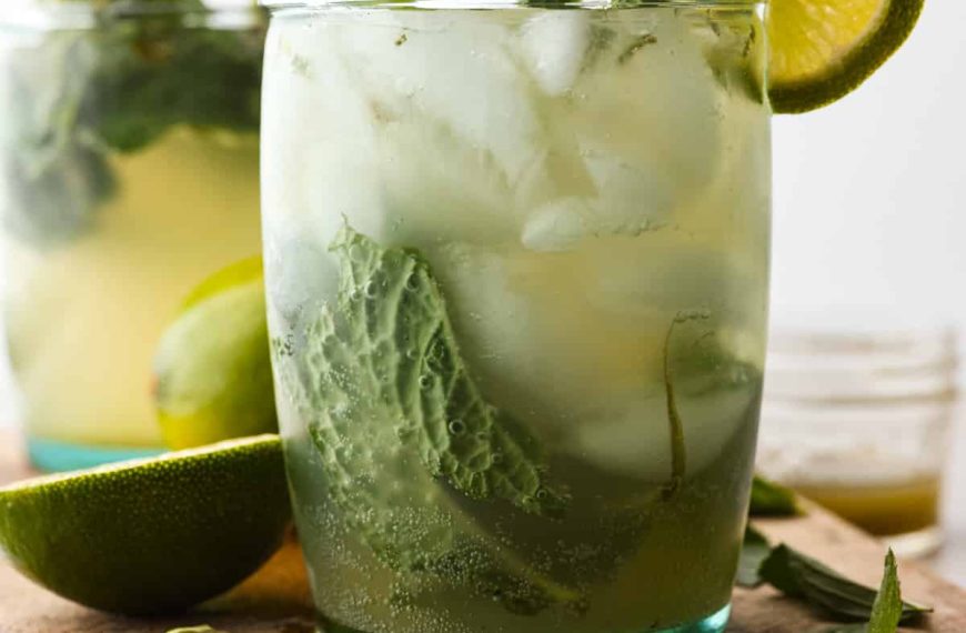 Virgin Mojito Recipe (Non-Alcoholic) | The Recipe Critic