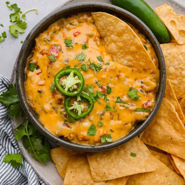 Smoked Queso Dip | The Recipe Critic