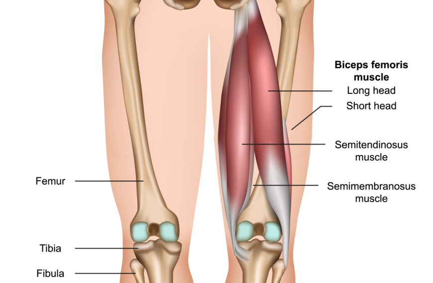 30 Best Hamstring Exercises of All Time